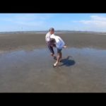 【ハゼ釣り】マッハを釣りながら潮干狩り！釣ったマッハをその場で食べたい！【潮干狩り】