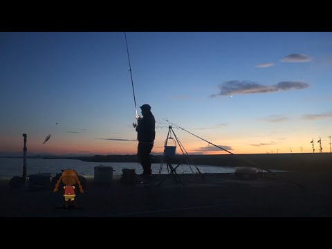 今年もイシモチ釣り【後編】