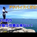 【沖縄釣り】【フカセ釣り初心者】エサ取り攻略できない！アドバイスください！エサを棚まで届けられない！どうすれば？？？