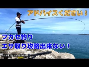 【沖縄釣り】【フカセ釣り初心者】エサ取り攻略できない！アドバイスください！エサを棚まで届けられない！どうすれば？？？