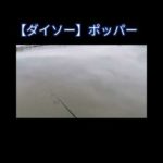 #ダイソー #ポッパー #Shorts #釣り #fishing