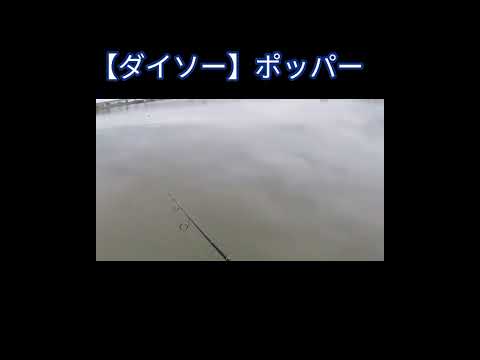 #ダイソー #ポッパー #Shorts #釣り #fishing