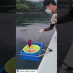 手ぶらでOKふね釣り体験ツアーin沼津港秀丸 夏のコマセ五目釣りで楽しめましたよ🐟🎣