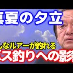 【村田基】真夏の釣り、夕立がバス釣りに与える影響【切り抜き】