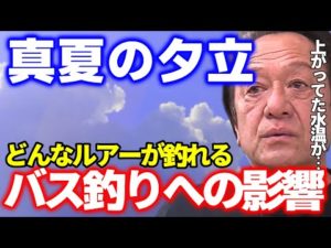 【村田基】真夏の釣り、夕立がバス釣りに与える影響【切り抜き】