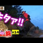 残り2県‼秋田県上陸で釣り開始‼【東北一周釣った魚とサイコロひとり旅#14】