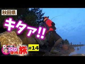 残り2県‼秋田県上陸で釣り開始‼【東北一周釣った魚とサイコロひとり旅#14】