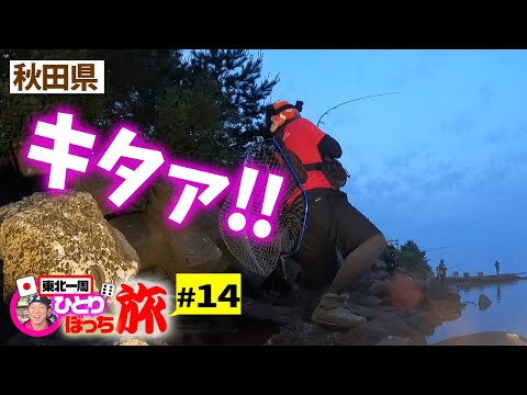 残り2県‼秋田県上陸で釣り開始‼【東北一周釣った魚とサイコロひとり旅#14】