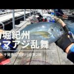 釣堀紀州シマアジ祭り！快釣エサ記念釣行会第2弾