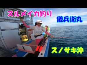 スノサキ沖のスルメイカ釣り【スルメイカ釣り】【直結仕掛け】【ピッカピカ針】