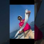 海にタックルBOX落としてきた😨#伊勢湾ジギング #太刀魚釣り #ジギング #釣り