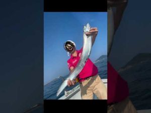 海にタックルBOX落としてきた😨#伊勢湾ジギング #太刀魚釣り #ジギング #釣り