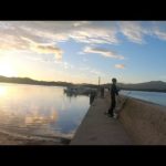 【釣祭】デカアジも青物も狂いまくる噂の堤防は凄すぎた！