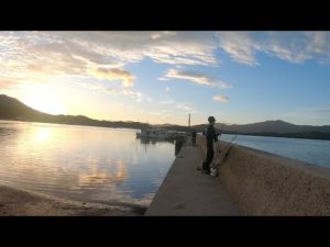 【釣祭】デカアジも青物も狂いまくる噂の堤防は凄すぎた！