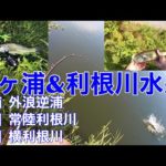 【スピナーベイト】霞ヶ浦&利根川水系バス釣りポイント流入河川　北浦　鰐川　常陸利根川　横利根川　前川2022年8月1日