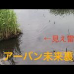 埼玉バス釣りポイント　アーバン未来裏