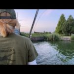 琵琶湖バス釣りライブR４-8/1