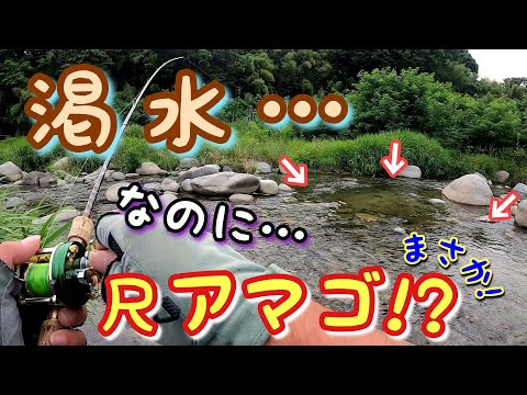 【渓流釣り】夏だ！渇水な川なのに？水少ないのに？それでも尺アマゴ！魚の気持ちは分からん…笑