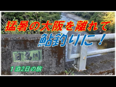 龍神の鮎釣り　(8月３～４日）