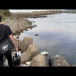 民宿で働く男性が近くの港へサビキ釣りに【vlog】
