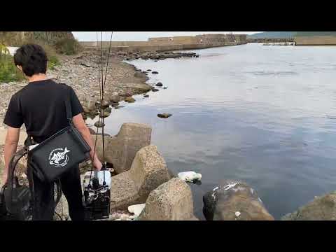 民宿で働く男性が近くの港へサビキ釣りに【vlog】