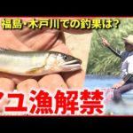 【釣り】アユ漁解禁！福島・木戸川  初日の釣果は？