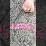 【閲覧注意】友達が初めて釣ったもの!!　　　　　#shorts #釣り #釣り人 #ルアー #アウトドア #fishing #シーバス #クロダイ