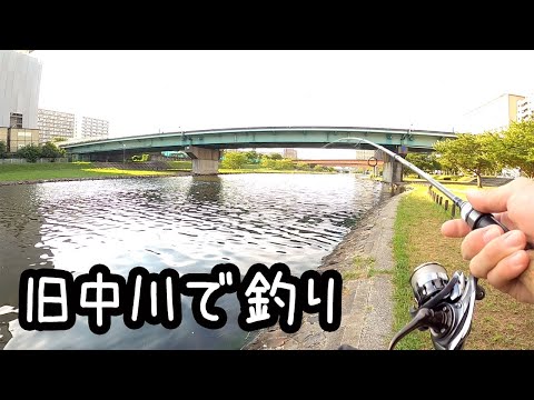 旧中川で釣り【東京】