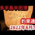 【愛知県釣り】知多半田！半田港！釣果速報2022年8月7日