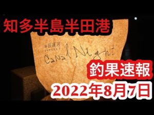 【愛知県釣り】知多半田！半田港！釣果速報2022年8月7日