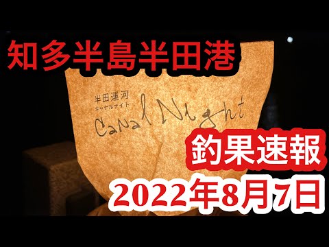 【愛知県釣り】知多半田！半田港！釣果速報2022年8月7日