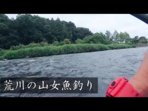 荒川のヤマメ釣り　大型ヤマメはクセが強い