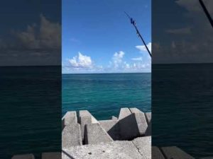 遠投釣り！石垣島、釣れない#石垣島 #遠投 #釣り部