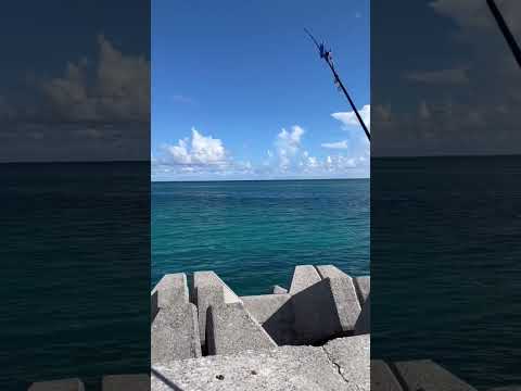 遠投釣り！石垣島、釣れない#石垣島 #遠投 #釣り部