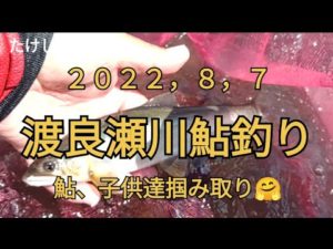鮎釣り渡良瀬川　２０２２，８，７　釣れた大きな鮎　子供達掴み取り🤗