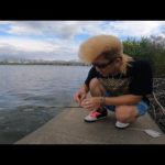 【荒川】地元北千住の河川敷でハゼ釣り！【ハゼ釣り】