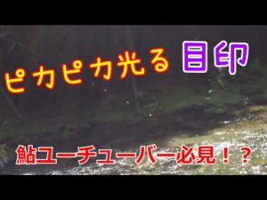 【鮎釣り】ピカピカ光る目印をつけてみたら凄かった!