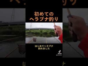 初めてのヘラブナ釣り🎣釣れて良かったぁ😂 #釣り #ヘラブナ #ヘラブナ釣り