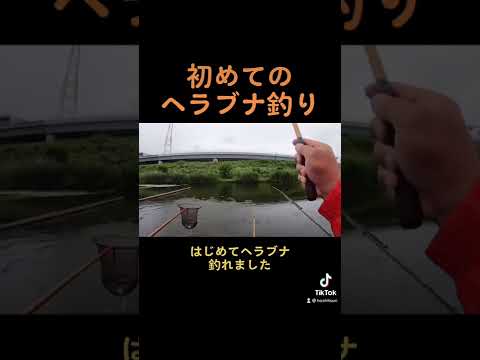 初めてのヘラブナ釣り🎣釣れて良かったぁ😂 #釣り #ヘラブナ #ヘラブナ釣り