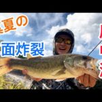 【バス釣り】真昼間の府中湖！デプスのあのワームで水面炸裂しました！