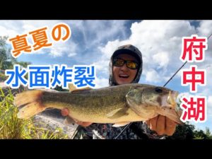 【バス釣り】真昼間の府中湖！デプスのあのワームで水面炸裂しました！