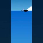 釣りスタ　百鬼夜行　ドクロ岬　キダイ