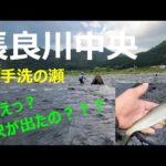 【長良川中央】御手洗の瀬　尺が出たの？　鮎釣り
