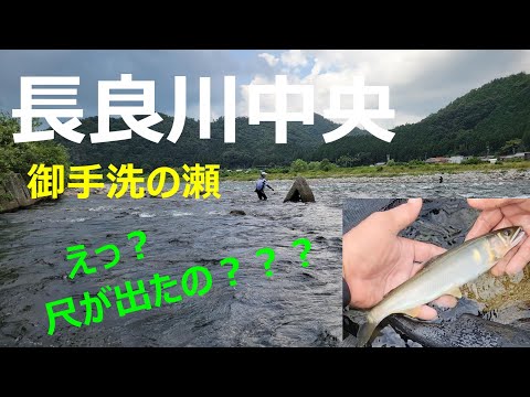 【長良川中央】御手洗の瀬　尺が出たの？　鮎釣り