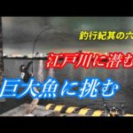 江戸川に潜む巨大魚に挑む　【釣行紀其の六】