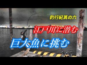 江戸川に潜む巨大魚に挑む　【釣行紀其の六】