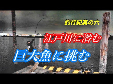 江戸川に潜む巨大魚に挑む 【釣行紀其の六】