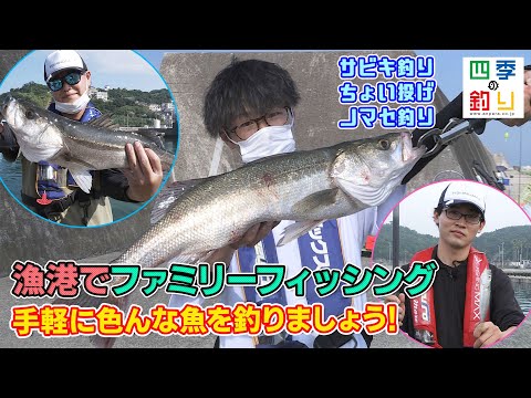 漁港でファミリーフィッシング　手軽に色んな魚を釣りましょう！（四季の釣り/2022年7月8日放送）