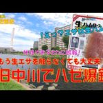 【ハゼ釣り・ハゼクラ】こんな身近なエサでハゼが爆釣！in 旧中川　Ryus Lab. 第262弾