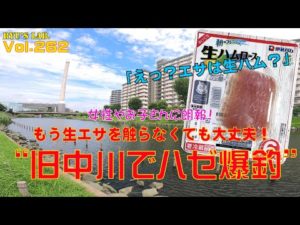 【ハゼ釣り・ハゼクラ】こんな身近なエサでハゼが爆釣！in 旧中川　Ryus Lab. 第262弾